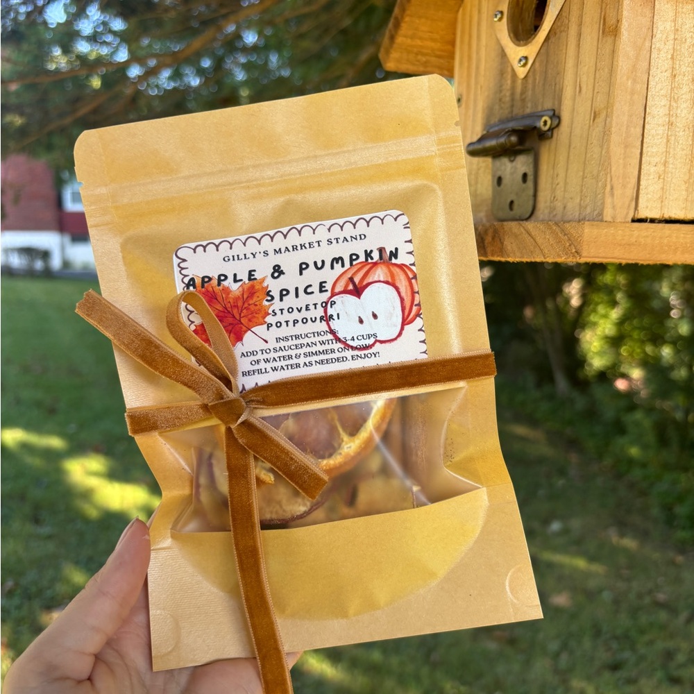 Fall Apple & Pumpkin Spice Simmer Pot Home Fragrance -Autumn Gift